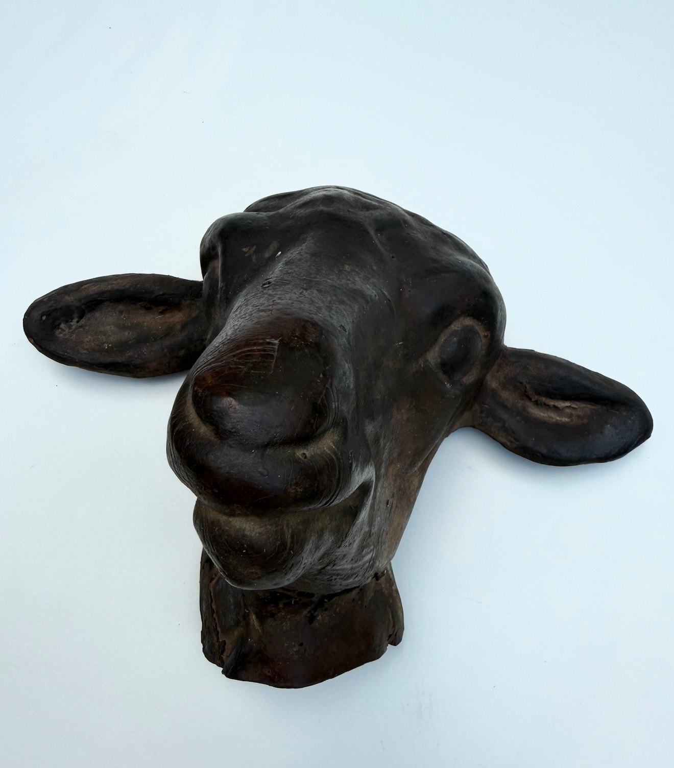 Lamb Study